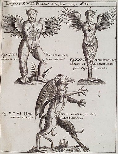 P. Gasparis Schotti. Physica Curiosa, Sive Mirabilia Naturæ et Artis Libris 1667